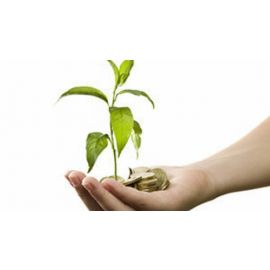 Free Course: Competitiveness Through Enterprise Sustainability