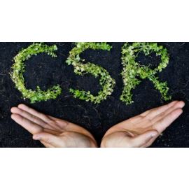 Free Course: Introduction to Corporate Social Responsibility