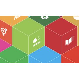 Free Course: The SDG Primer