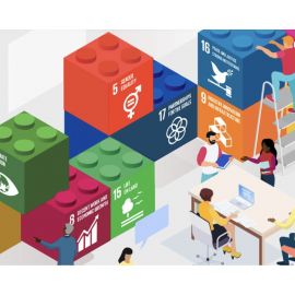 Free Course: The UN Sustainable Development Cooperation Framework 