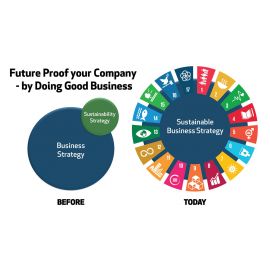 Free course:  5 steps to FUTURE-PROOF your company & make it SUSTAINABLE!